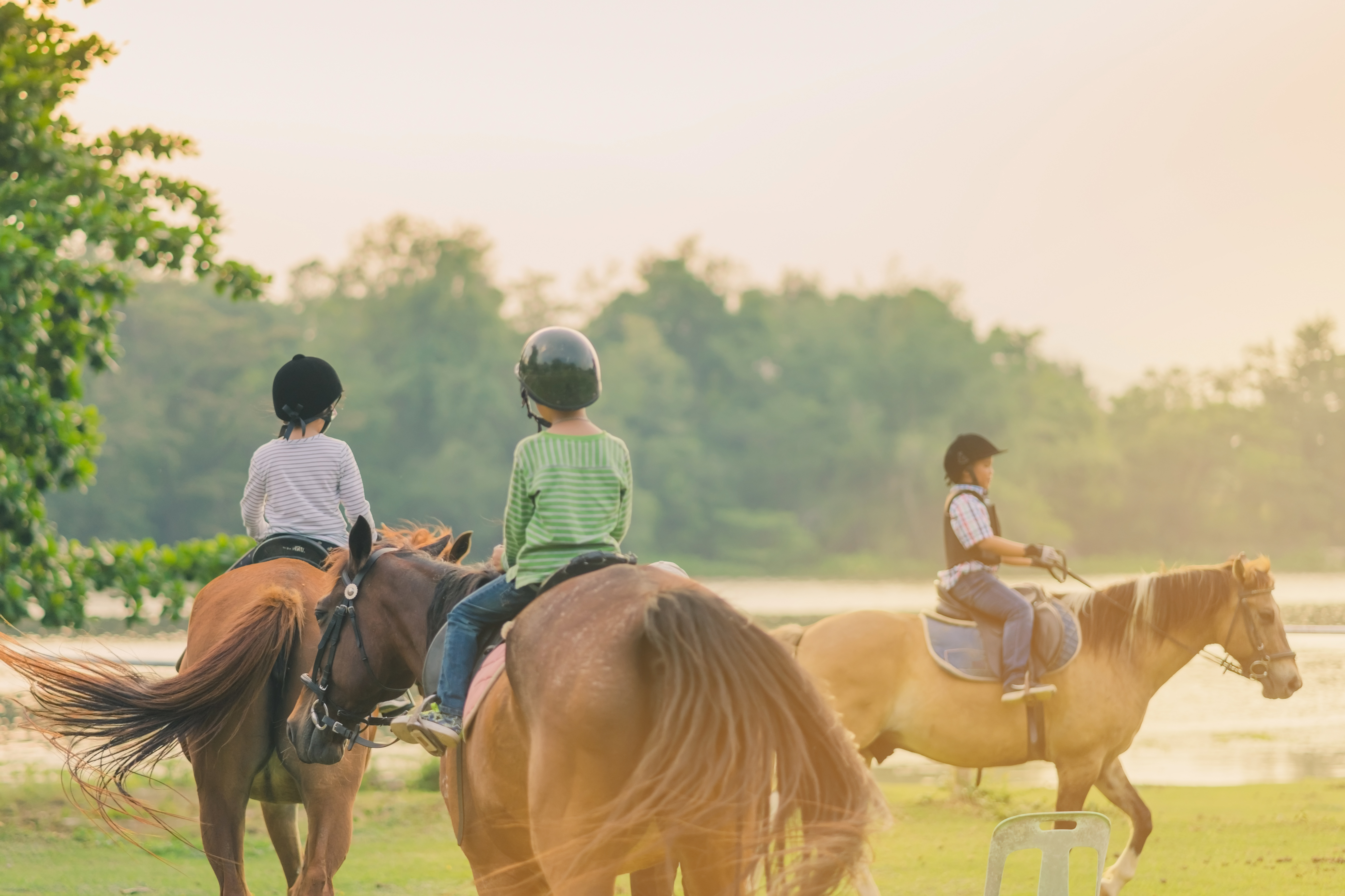 Kids learn to ride a horse near the river before sunset